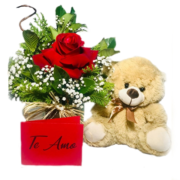 Kit Eu Te Amo Rosa + Pelucia